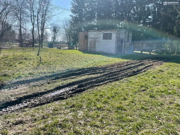 У луцькому парку розбирають атракціони: що відбувається (фото, відео)
