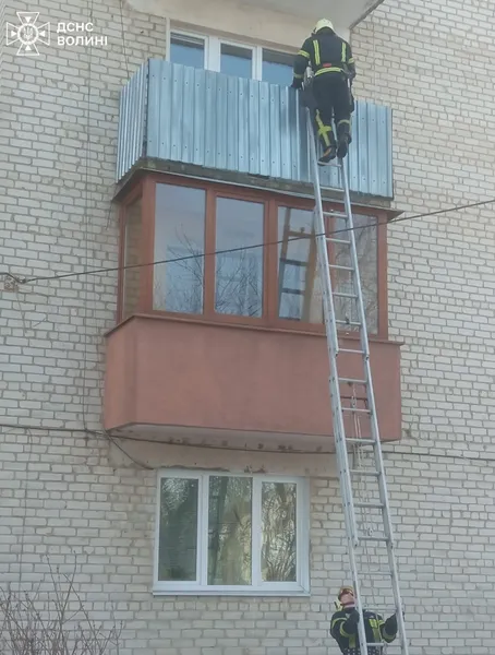 Дворічна дитина зачинилася в квартирі: волинські рятувальники лізли через вікно (фото)