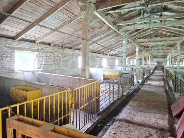На Волині за 11 мільйонів гривень продають діючу свиноферму із залізничною колією (фото)