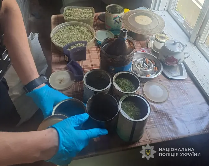 На городі волинянина знайшли 262 кущі конопель, а вдома – майже кілограм канабісу (фото)