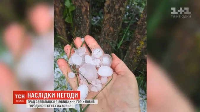У Турійському районі величезний град знищив городину
