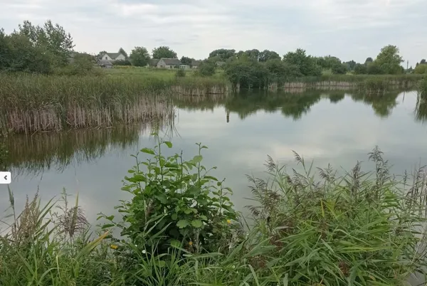 У Луцькому районі здають в оренду дві великі водойми для розведення риби