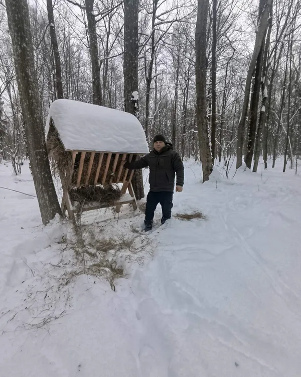 Як в нацпарку на Волині допомагають диким тваринам пережити сніжну зиму (фото)