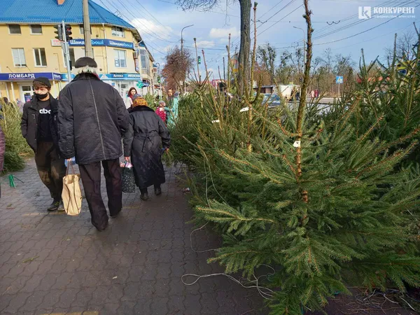 Один день до свята: скільки коштують ялинки біля Старого ринку у Луцьку (фото)
