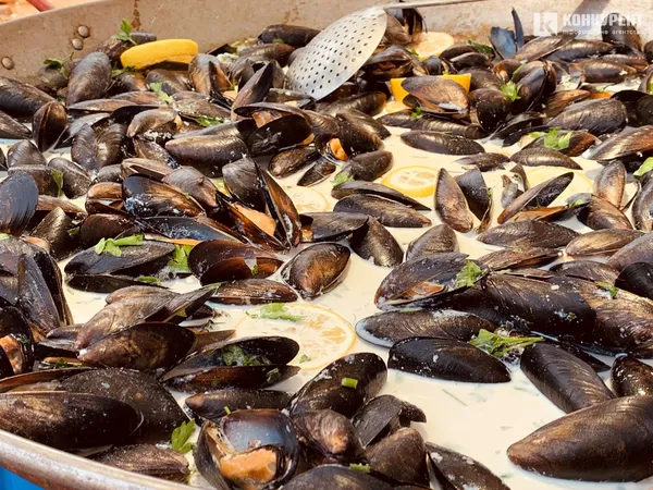 Як у Луцьку відгуляли перший день серпневого FOODFEST (фото)