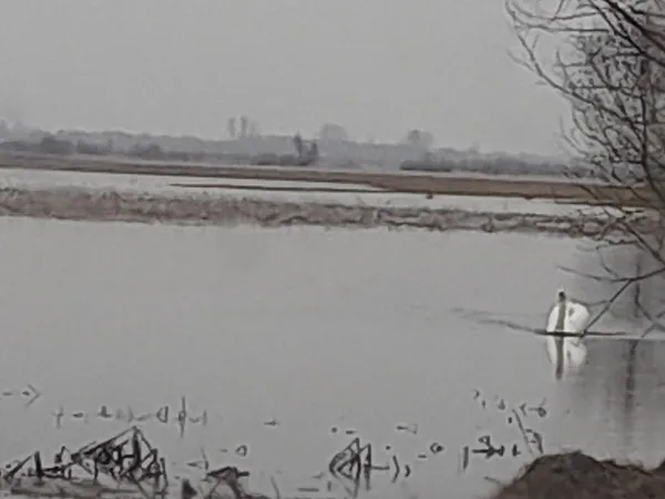 На Волині фіксують підйом захворюваності на вірусний гепатит А