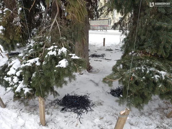 Луцьк готується до Нового року: почали встановлювати та прикрашати ялинки (фото, відео)