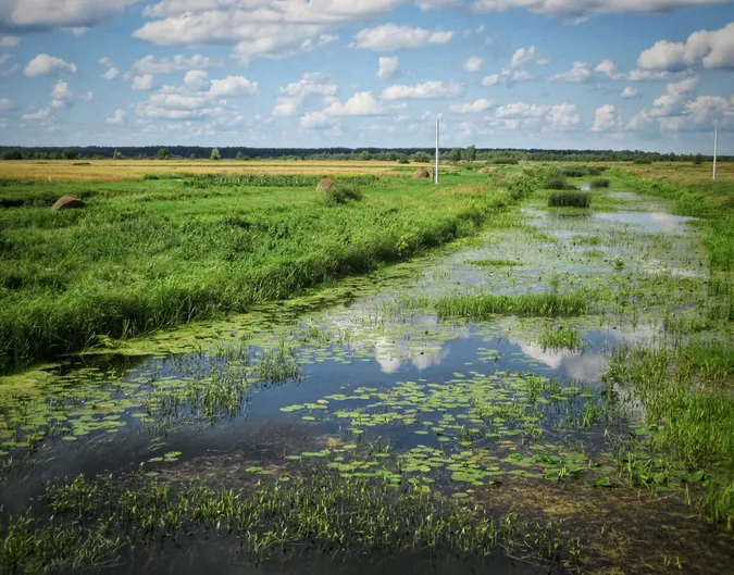 На Волині село повністю пішло під воду і відродилося на пагорбі