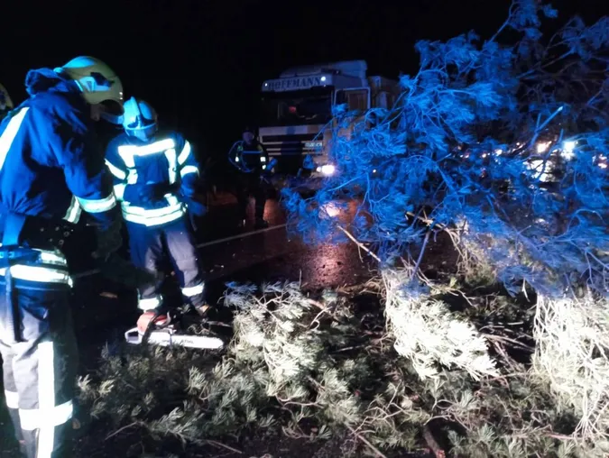 На Волині на дорогу пориви вітру повалили дерево – викликали рятувальників (фото)