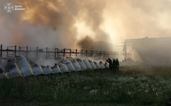 Чорний дим у небі і 30 рятувальників: під Луцьком спалахнула масштабна пожежа (фото)