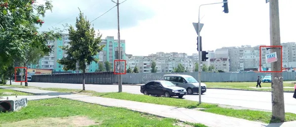 Лучан просять повідомляти про незаконну рекламу на деревах (фото)