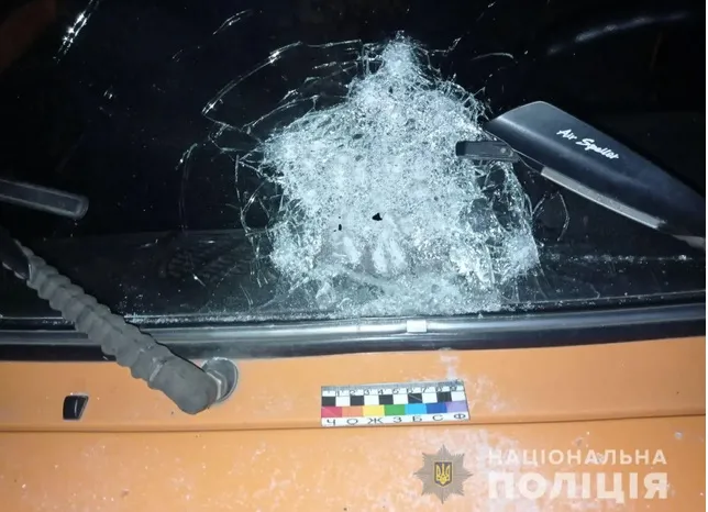 На Дніпропетровщині чоловік під час конфлікту вистрілив у 8-річну дівчинку
