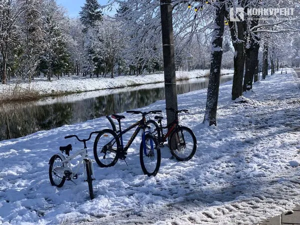 Вона чекає на вас морозного ранку у Луцькому парку (фото)