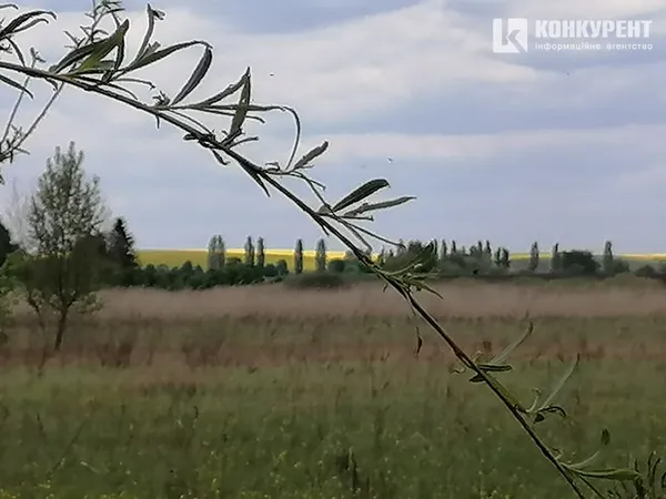 Коронавірус? Ні, не чули