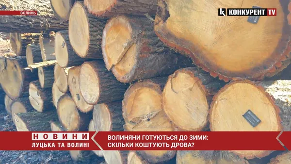 Зима близько: скільки на Волині коштують дрова (відео)