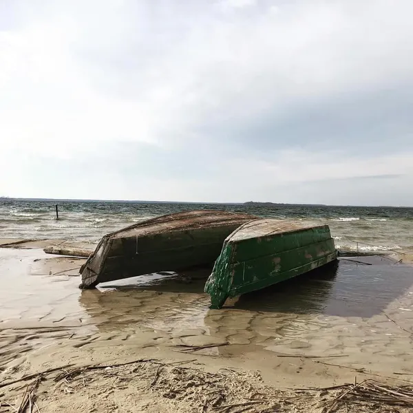 Як Аральське море: свіжі фото Світязю, які шокують