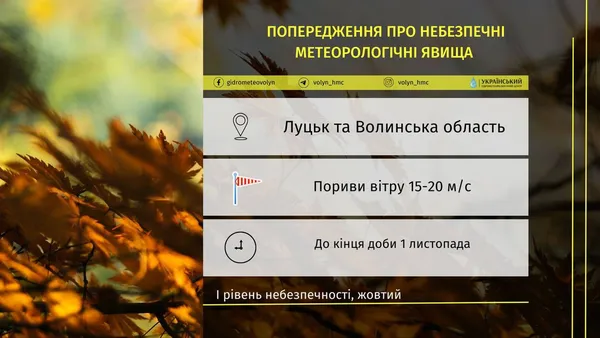 Рівень небезпечності – жовтий: на Волині очікуються сильні пориви вітру (фото)