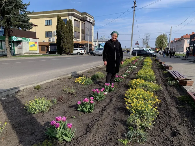🌷Висадила тисячу тюльпанів: як квітникарка роками змінює Шацьк (фото)