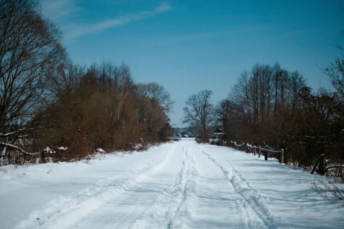 Як в дитинстві у бабусі: волинське село під покровом снігу (фото)