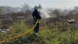 Паліїв шукають: на Волині за добу сталося п'ять пожеж у полях (фото)
