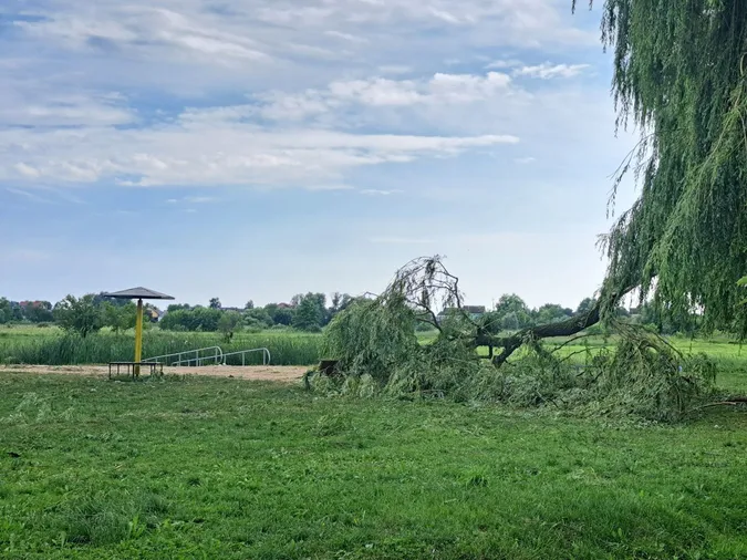 Повалені дерева та лінії електропередач: у Володимира негода наробила шкоди (фото)