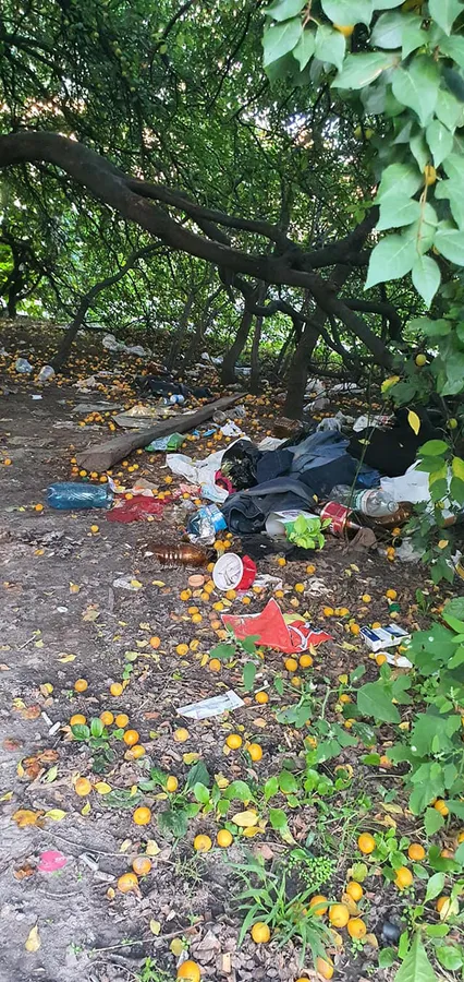 «Місто, яке ми заслужили»: лучанка скаржиться на купу сміття (фото)