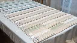 Знищили понад 1100 дерев: на Волині викрили організовану групу крадіїв лісу (фото)