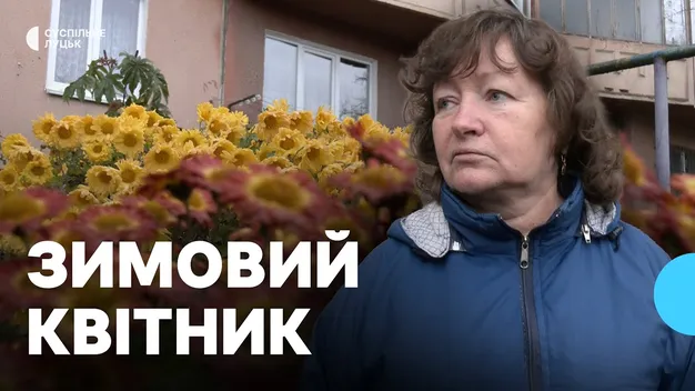 У Луцьку в грудні цвітуть квіти через аномальне тепло (відео)