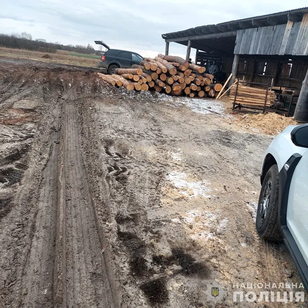На Волині затримали лісників, які незаконно збагатились на 800 тисяч гривень (фото, відео)