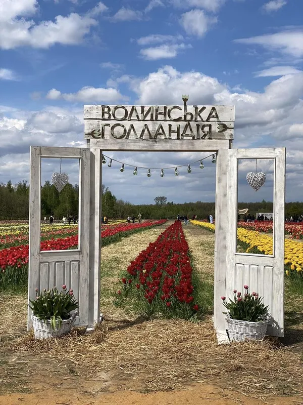 Гоу по світлини: у «Волинській Голландії» облаштували крутезні фотозони (фото)