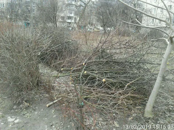 У Луцьку голів ОСББ закликають прибрати прибудинкові території (фото)