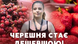 Ягоди дешевшають: які ціни на полуницю та черешню на луцькому ринку (відео)