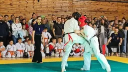 У відкритому чемпіонаті Луцька з кіокушинкай карате взяли участь більше 400 дітей (відео)