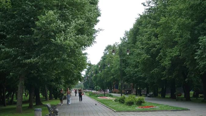 Заквітчаний луцький парк перед грозою (фото)