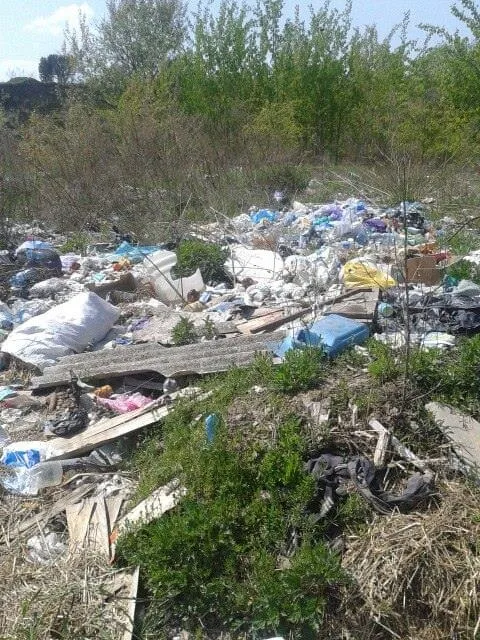 Неподалік від Луцька виявили стихійне сміттєзвалище (фото)