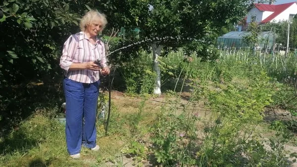 «Город – то мої ліки»: як викладачка з Волині понад 20 років хазяйнує на дачі (фото, відео)