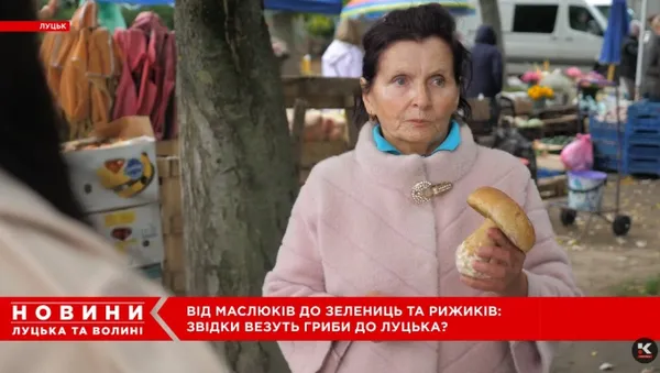 Від білих і красноголовців до зелениць і рижиків: на луцькому ринку – грибний ажіотаж (відео)