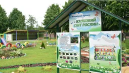 У луцькому дитсадку відкрили ботанічний куточок (фото)