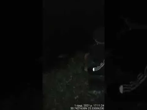 У центральному парку Луцька чоловік уночі ловив рибу (відео)