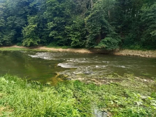 Річки Полісся катастрофічно міліють: уже видно кам'яні пороги на дні (фото)