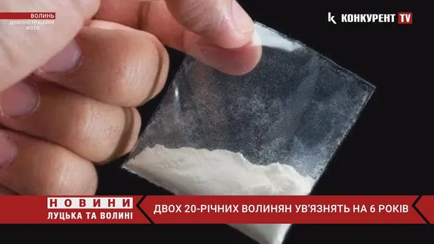 Робили закладки з «альфою»: двох 20-річних волинян ув'язнять на 6 років (відео)