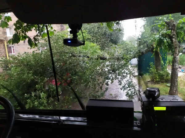 Підтоплені будинки і повалені дерева: на Волині вирувала негода (фото)