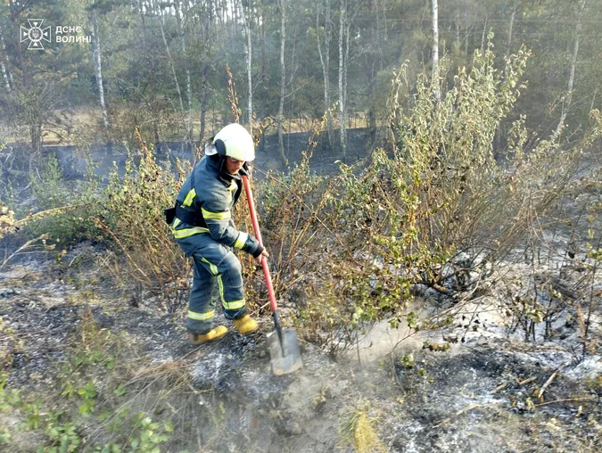На Волині рятувальники ліквідували масштабну пожежу: що і де горіло (фото)