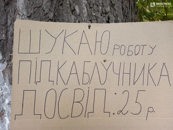 У Луцьку «підкаблучник» шукає роботу (фото, відео)