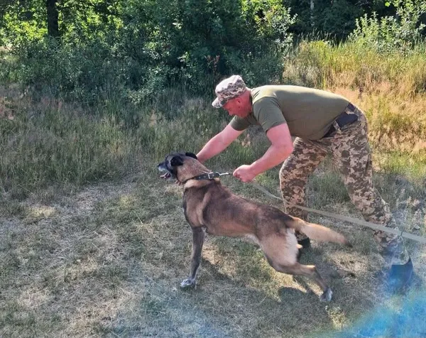 Микола та Агрес: як кінолог і його чотирилапий напарник охороняють кордон із Білоруссю (фото)