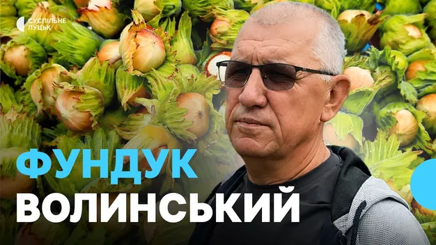«Горіховий рай» на 65 сотках: подружжя з Волині 10 років вирощує фундук (фото, відео)