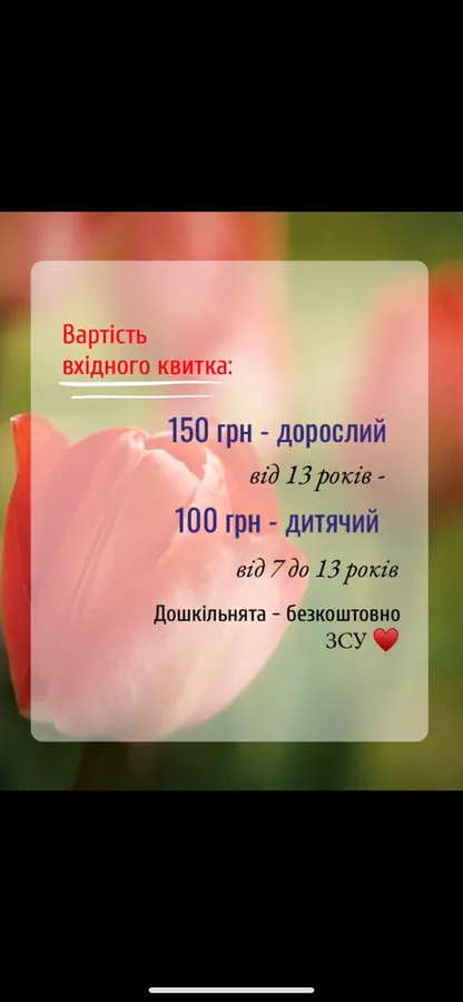 Незабаром відкриття фестивалю тюльпанів у «Волинській Голландії»: скільки тепер коштує квиток (фото)