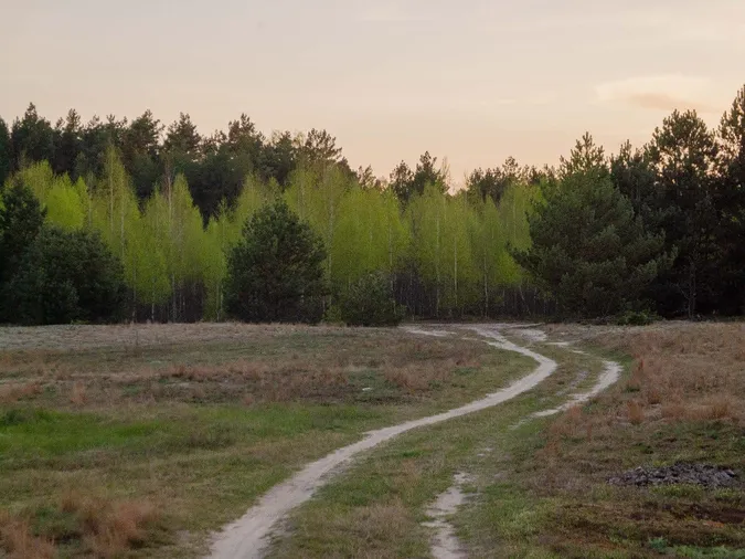 Все цвіте і пахне: весна в селі на Волині (фото)