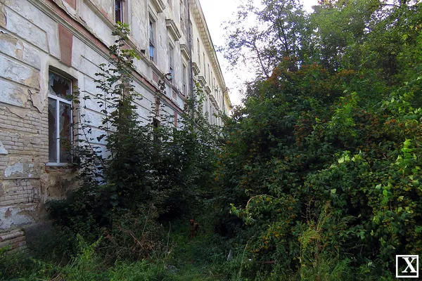 Велетень у стилі класицизму: історія будівництва військового госпіталю на Красному (фото)