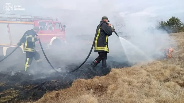 Стовпи вогню і дим: на болоті у Камінь-Каширському районі горить суха трава (фото)